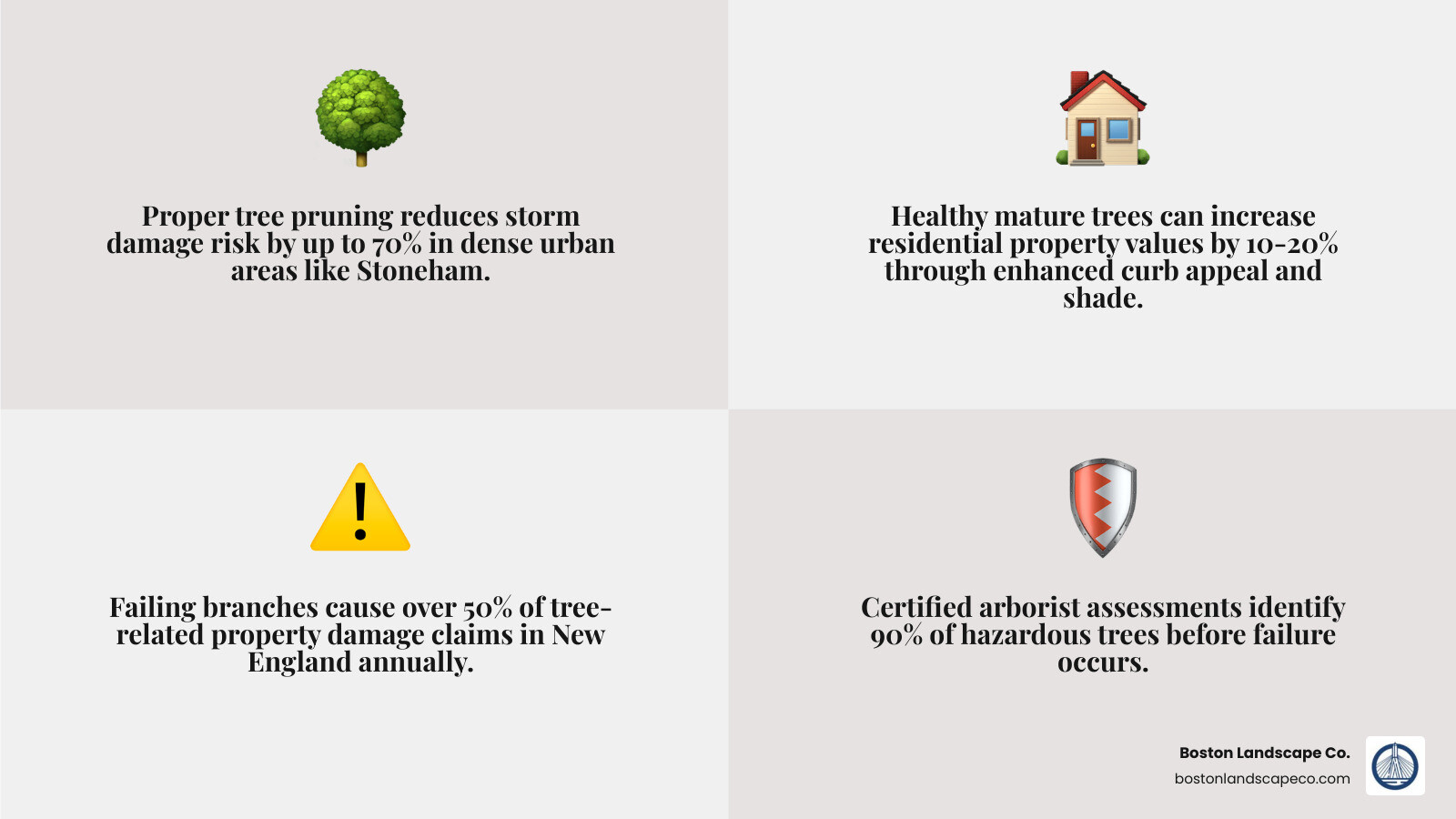Benefits of professional tree care for New England landscapes infographic showing services, seasonal timing, and property