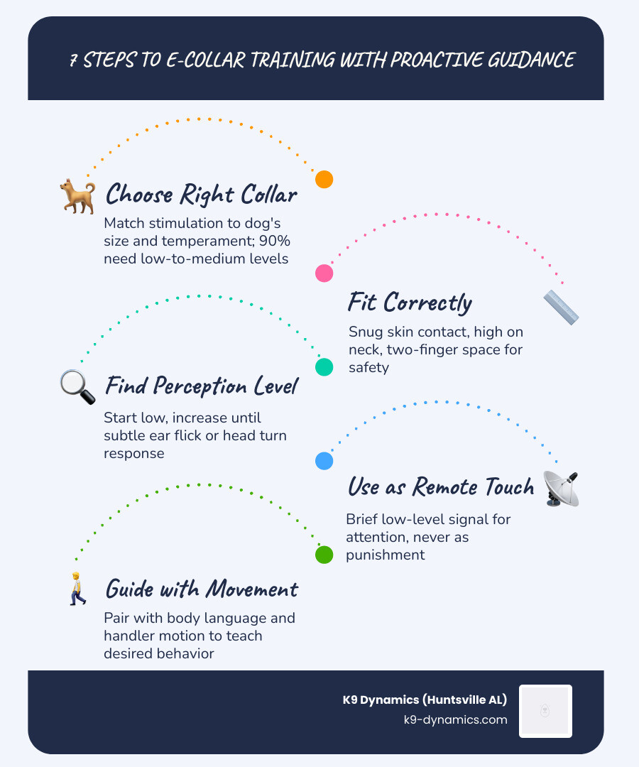 Infographic: 7 steps to using an e-collar for a family dog with proactive guidance method - e collar family dog infographic