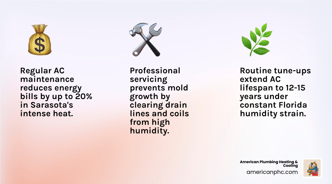 Infographic showing benefits of regular AC tune-ups in Sarasota including energy savings, lifespan, and air quality - ac