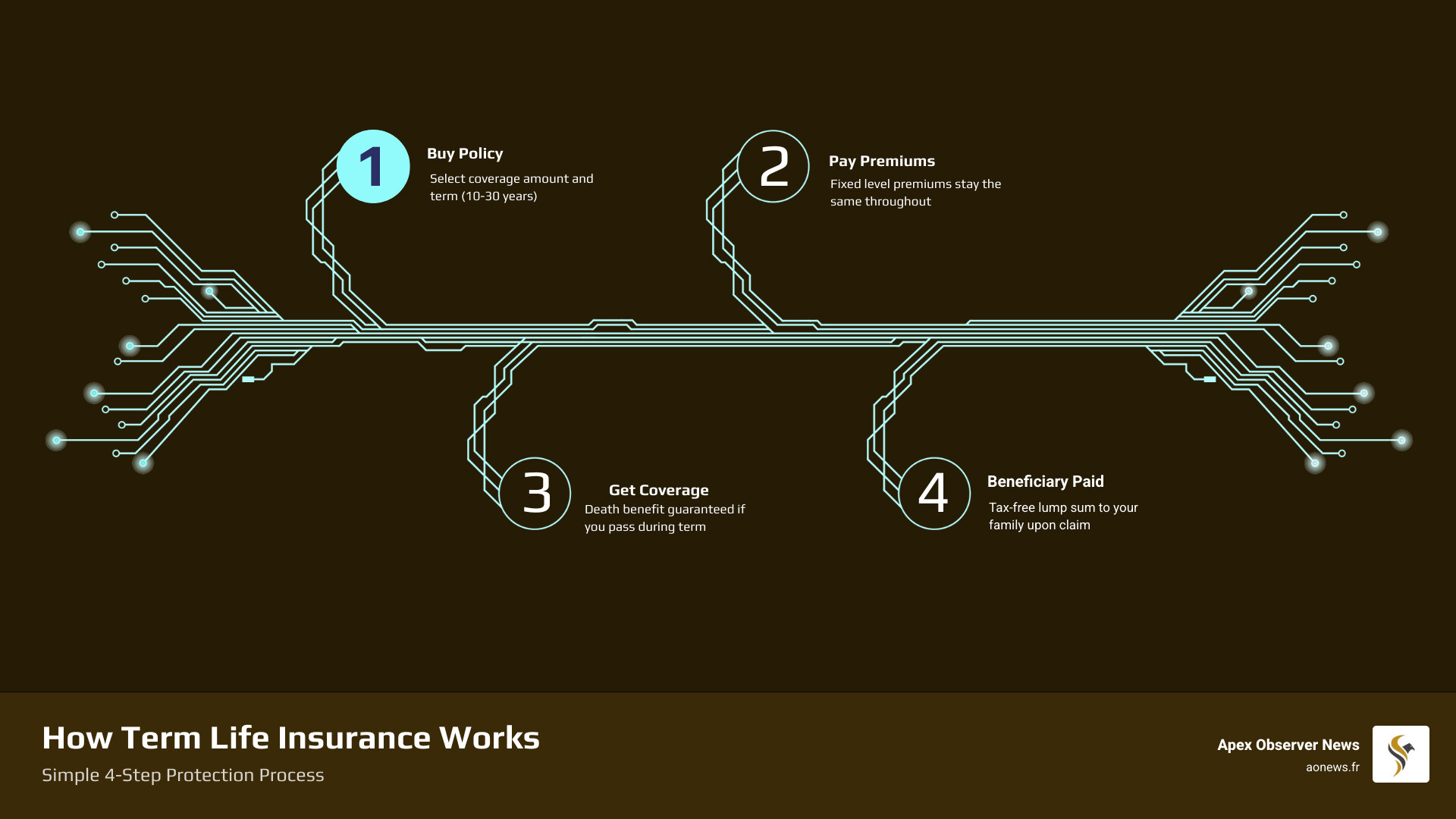 Infographic showing how term life insurance works: pay premiums, get coverage for a set term, beneficiary receives death