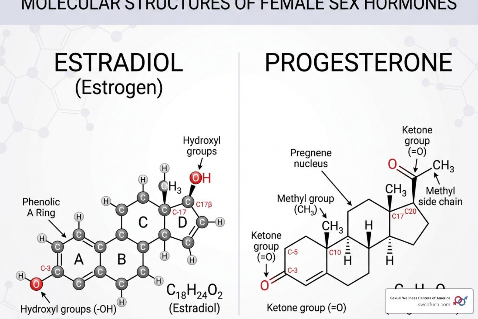 molecular structure of estrogen and progesterone hormones - treating estrogen dominance molecular structure of estrogen and progesterone hormones - treating estrogen dominance