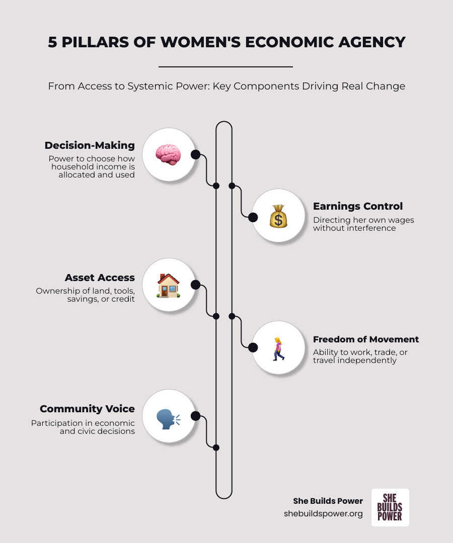 Infographic: The 5 pillars of women's economic agency from access to systemic power - women economic agency infographic