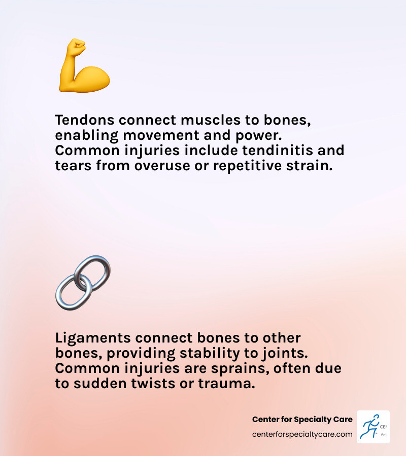 Infographic comparing foot tendons vs ligaments with key functions and common injury types - foot tendons infographic