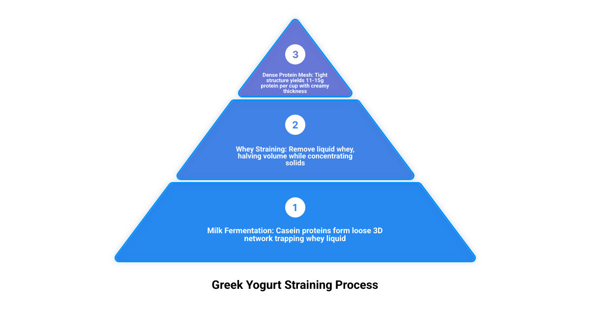 Infographic showing the yogurt straining process from regular yogurt to Greek yogurt with protein and volume changes - greek
