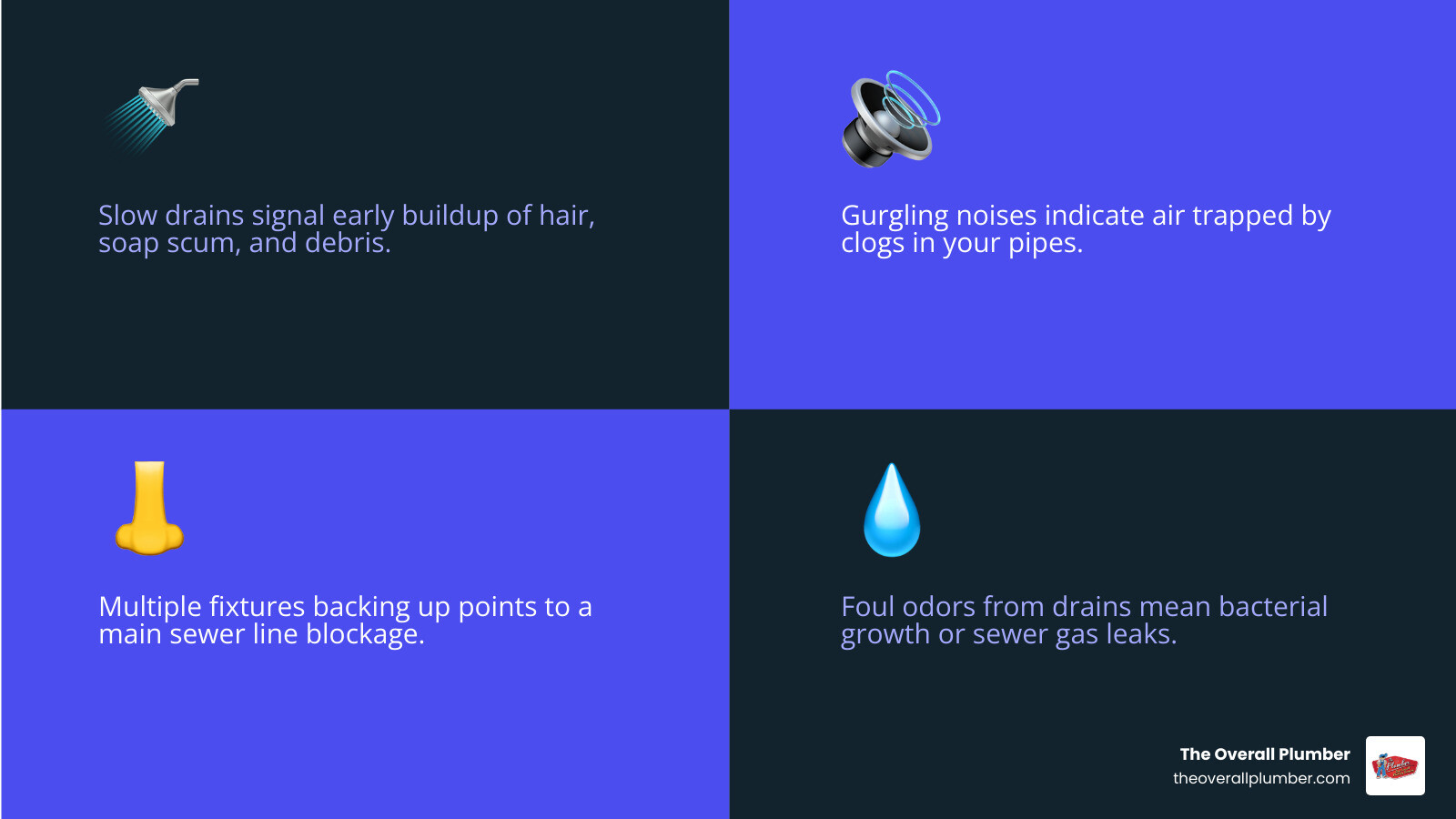 Infographic showing signs you need drain cleaning, common Houston drain causes, and cleaning methods overview - drain
