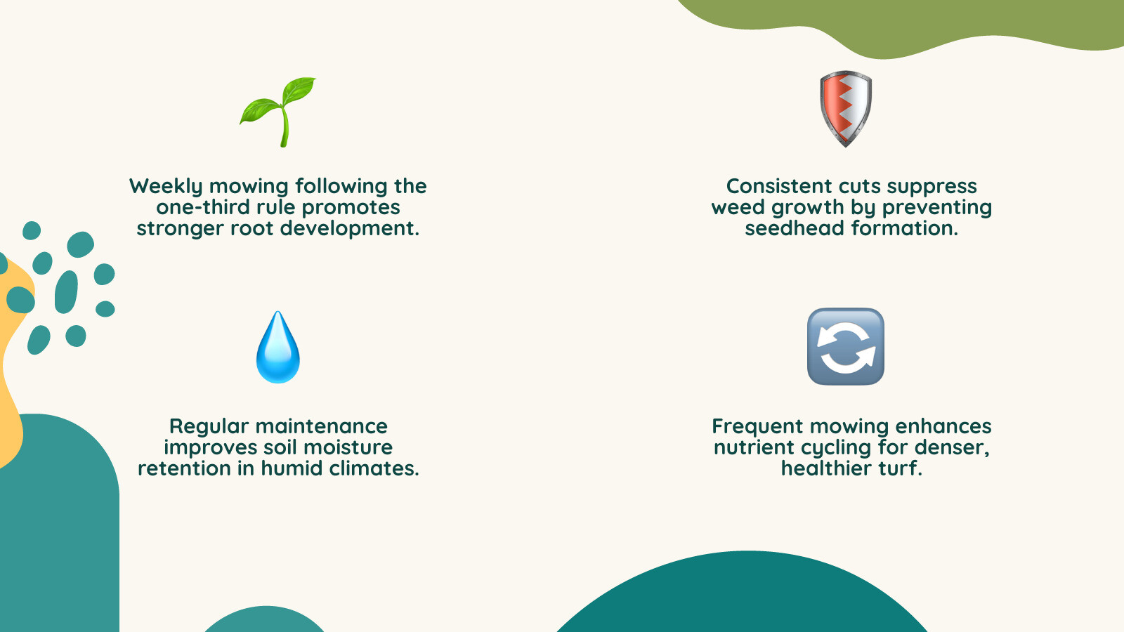infographic showing key benefits of consistent weekly lawn care schedule for Florida homeowners - weekly lawn service
