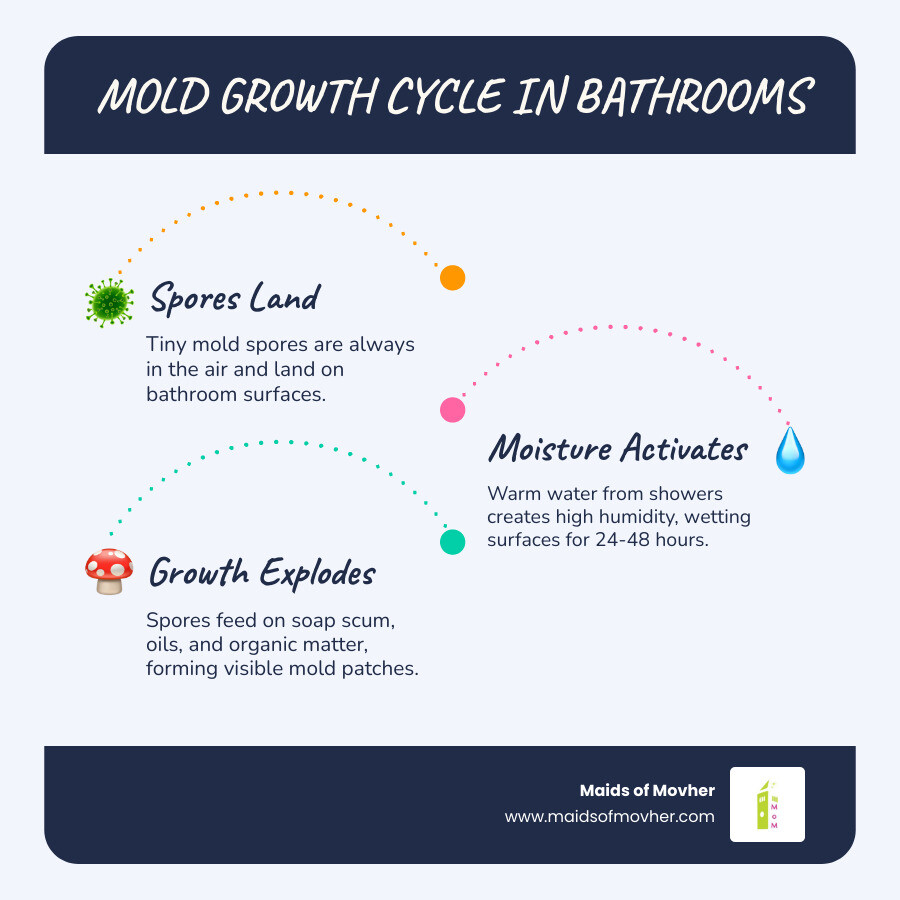 infographic showing mold growth cycle in bathrooms and key prevention steps - how to prevent mold and mildew in bathroom infographic showing mold growth cycle in bathrooms and key prevention steps - how to prevent mold and mildew in bathroom