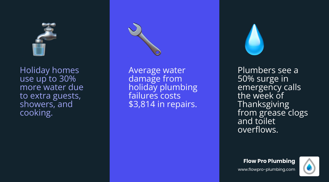 Holiday plumbing statistics infographic: water waste, Brown Friday surge, common holiday plumbing problems - holiday Holiday plumbing statistics infographic: water waste, Brown Friday surge, common holiday plumbing problems - holiday