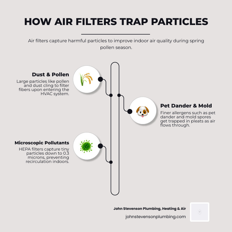 Infographic showing how air filters trap pollen, dust, and particles in a home HVAC system - spring air filter replacement Infographic showing how air filters trap pollen, dust, and particles in a home HVAC system - spring air filter replacement