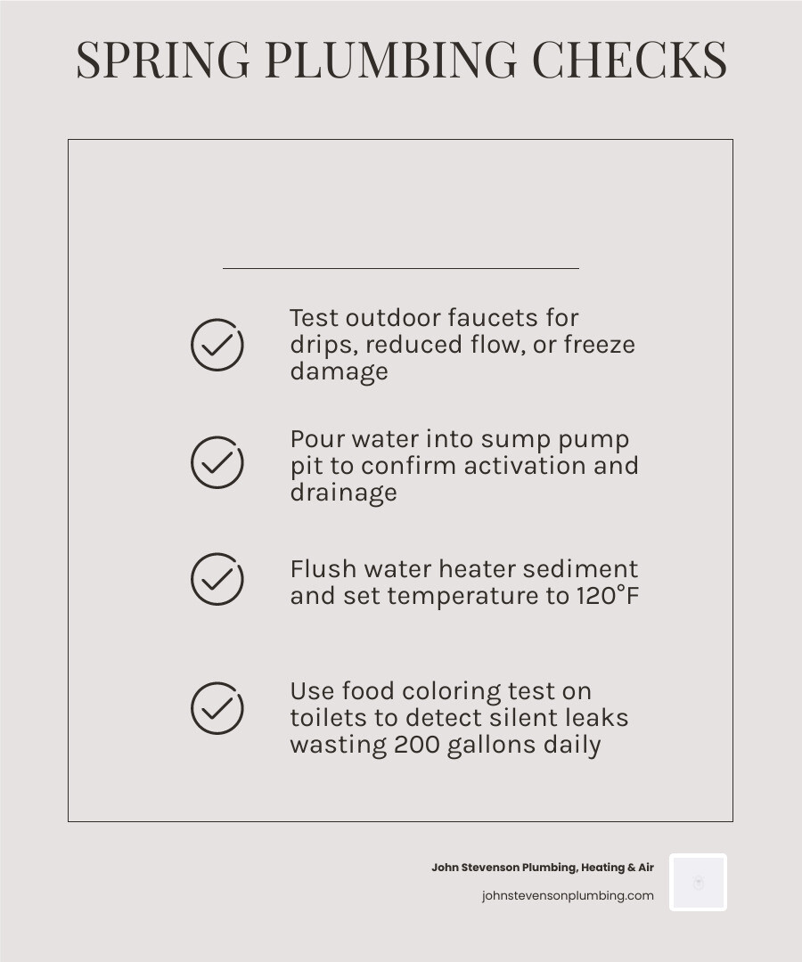 Infographic showing a seasonal spring plumbing inspection checklist with icons for key check points - spring plumbing