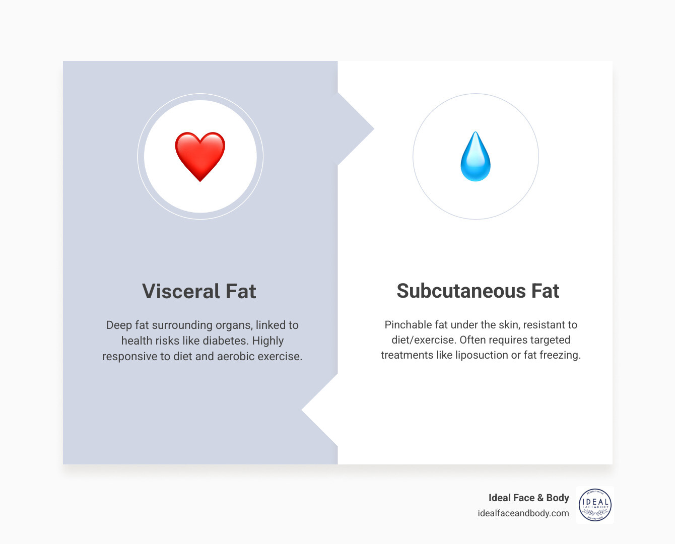 Subcutaneous fat vs visceral fat infographic showing layers of abdominal fat and removal methods - tummy fat removal Subcutaneous fat vs visceral fat infographic showing layers of abdominal fat and removal methods - tummy fat removal