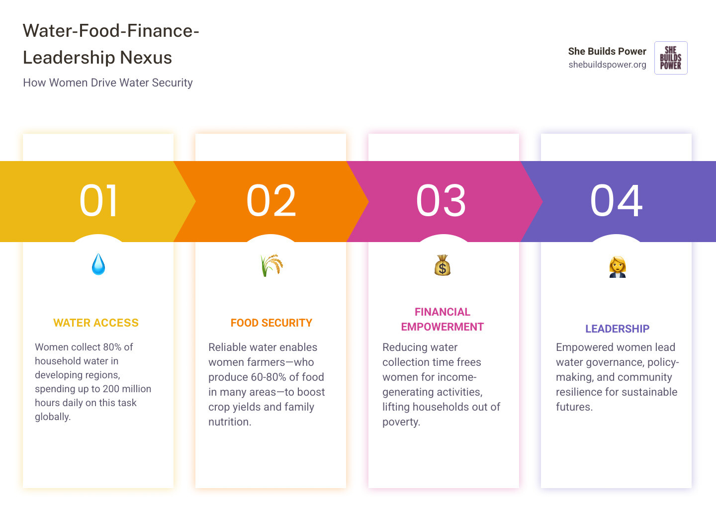 infographic showing the Water-Food-Finance-Leadership Nexus and its connection to women and water security - women and water