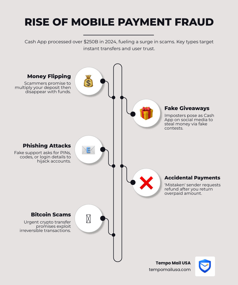 Rise of mobile payment fraud and common Cash App scam types infographic - cash app scam infographic Rise of mobile payment fraud and common Cash App scam types infographic - cash app scam infographic