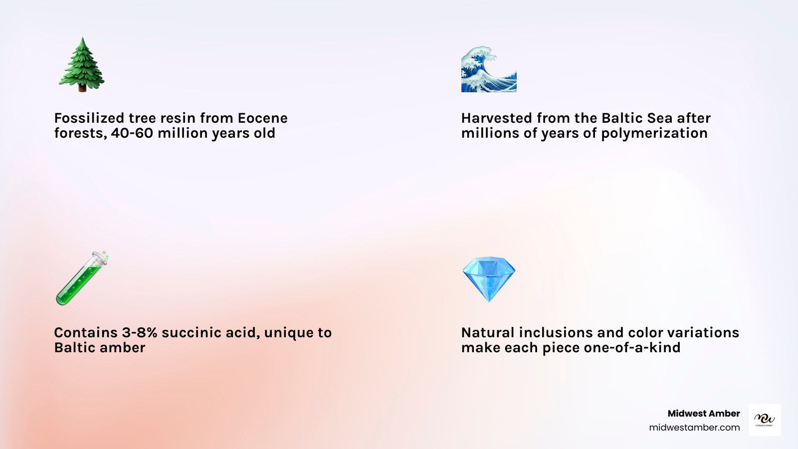 Infographic showing key facts about mens Baltic amber rings: age, sourcing, styles, colors, and authenticity tips - mens