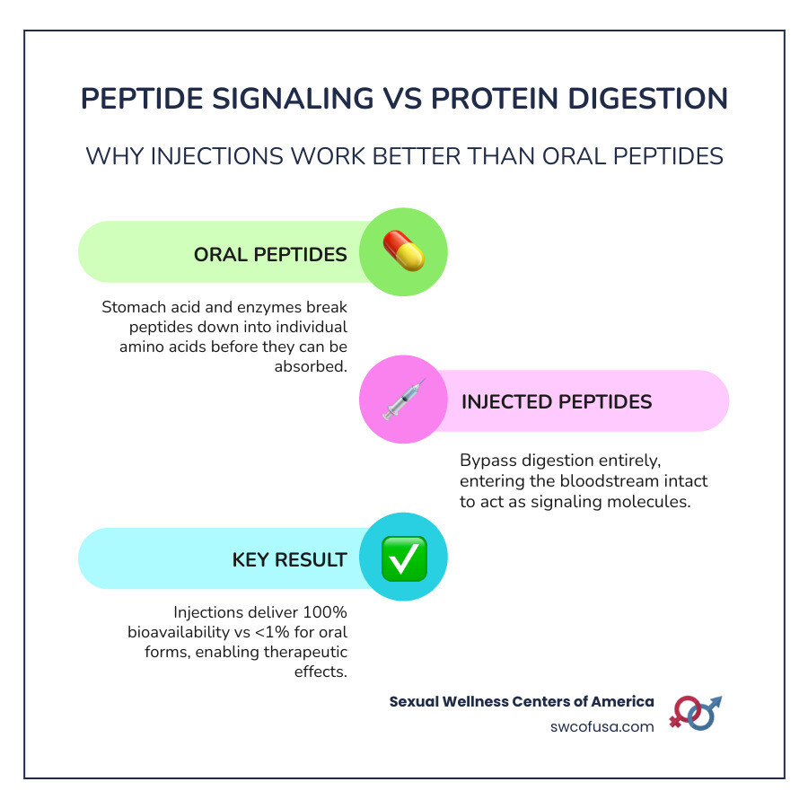 Infographic showing peptide signaling vs protein digestion: injected peptides reach bloodstream intact while oral peptides Infographic showing peptide signaling vs protein digestion: injected peptides reach bloodstream intact while oral peptides