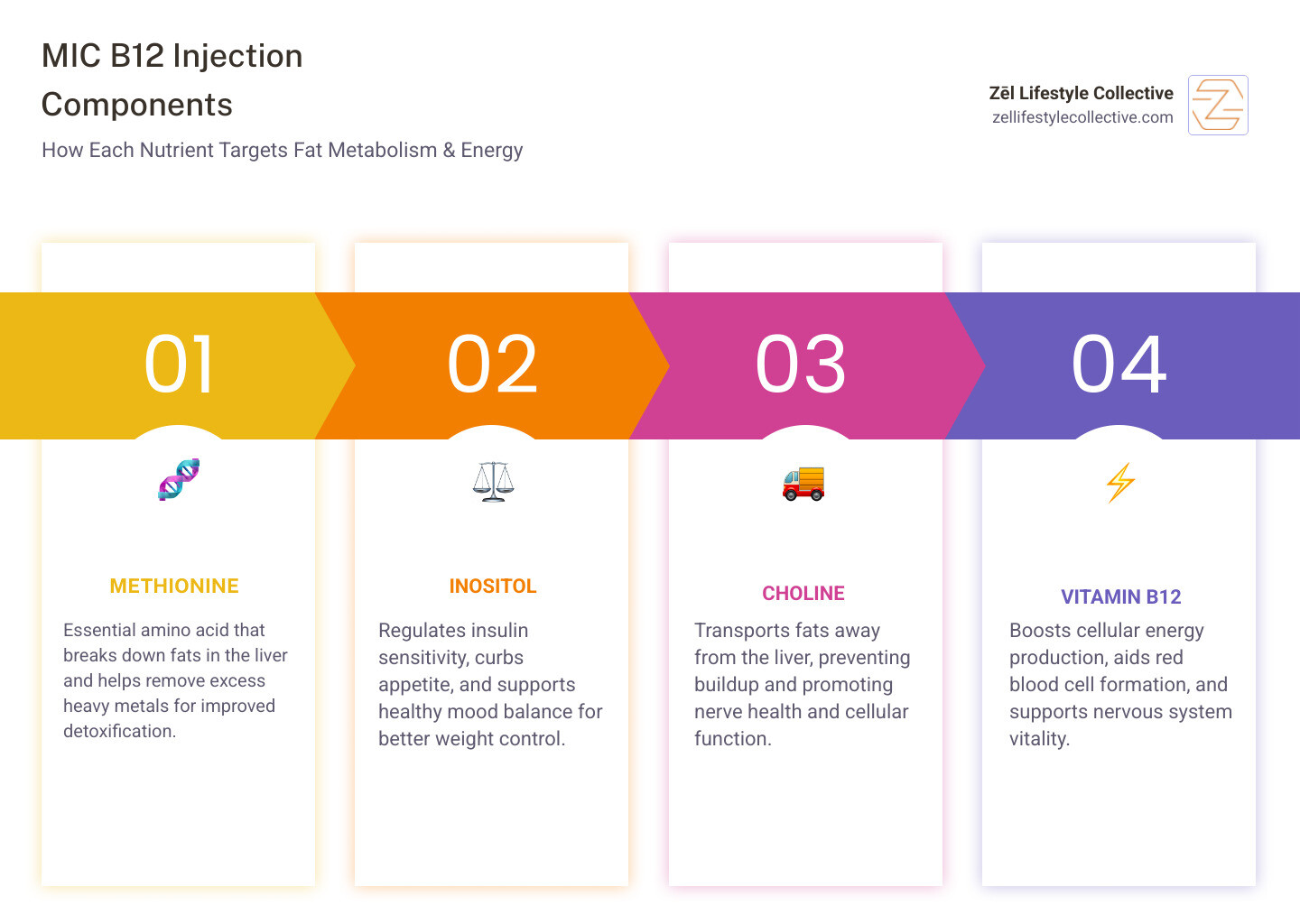 Infographic showing MIC B12 injection components and how each targets fat metabolism and energy production - mic b12 Infographic showing MIC B12 injection components and how each targets fat metabolism and energy production - mic b12