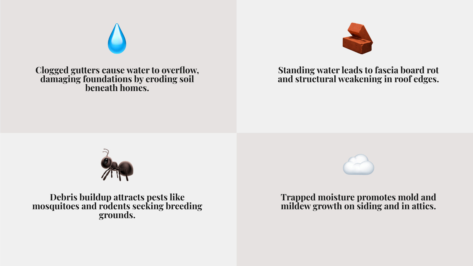 Infographic showing dangers of clogged gutters: water overflow, foundation damage, pest infestation, fascia rot, mold growth Infographic showing dangers of clogged gutters: water overflow, foundation damage, pest infestation, fascia rot, mold growth