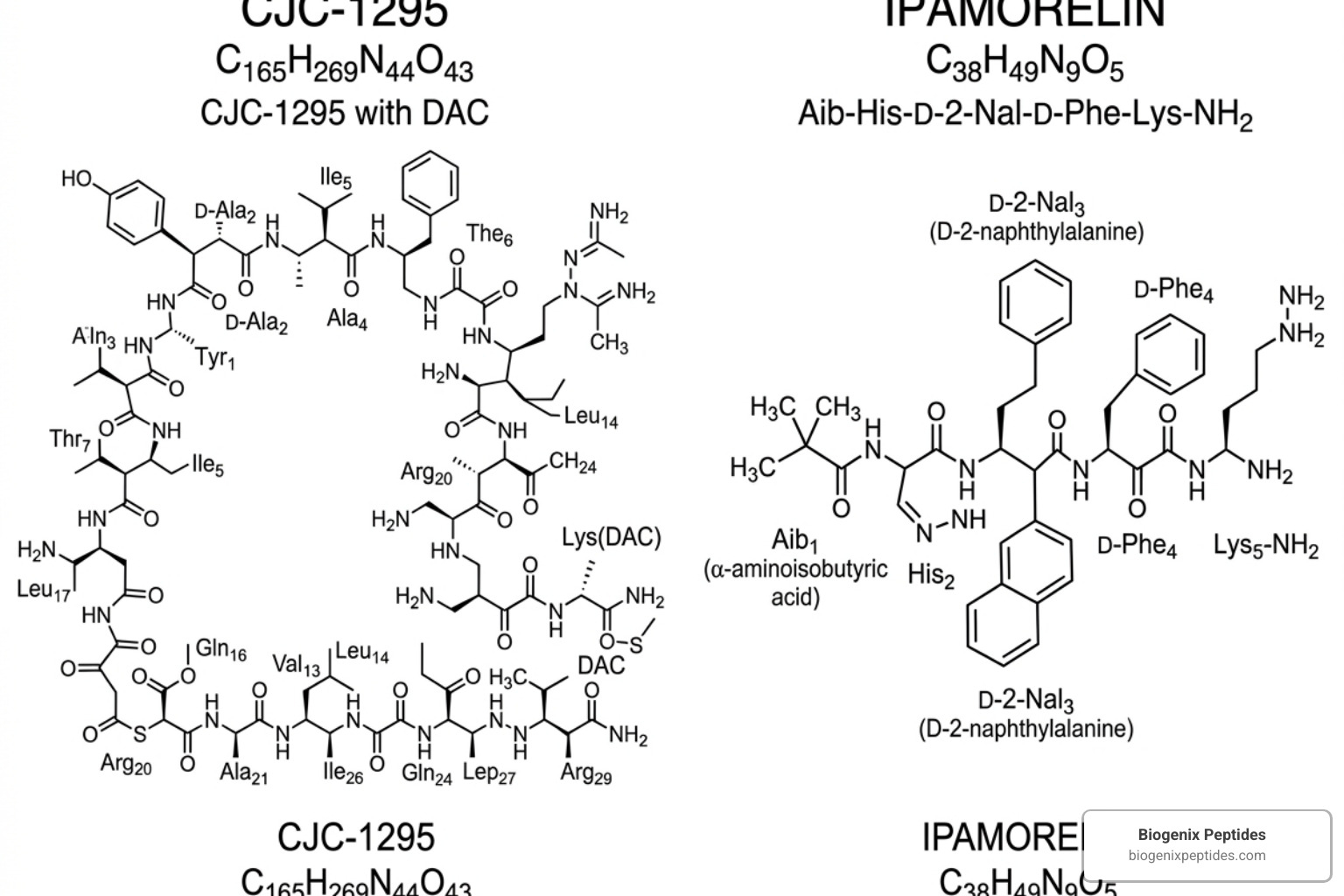 Molecular structure of CJC-1295 and Ipamorelin peptides - cjc-1295 ipamorelin protocol