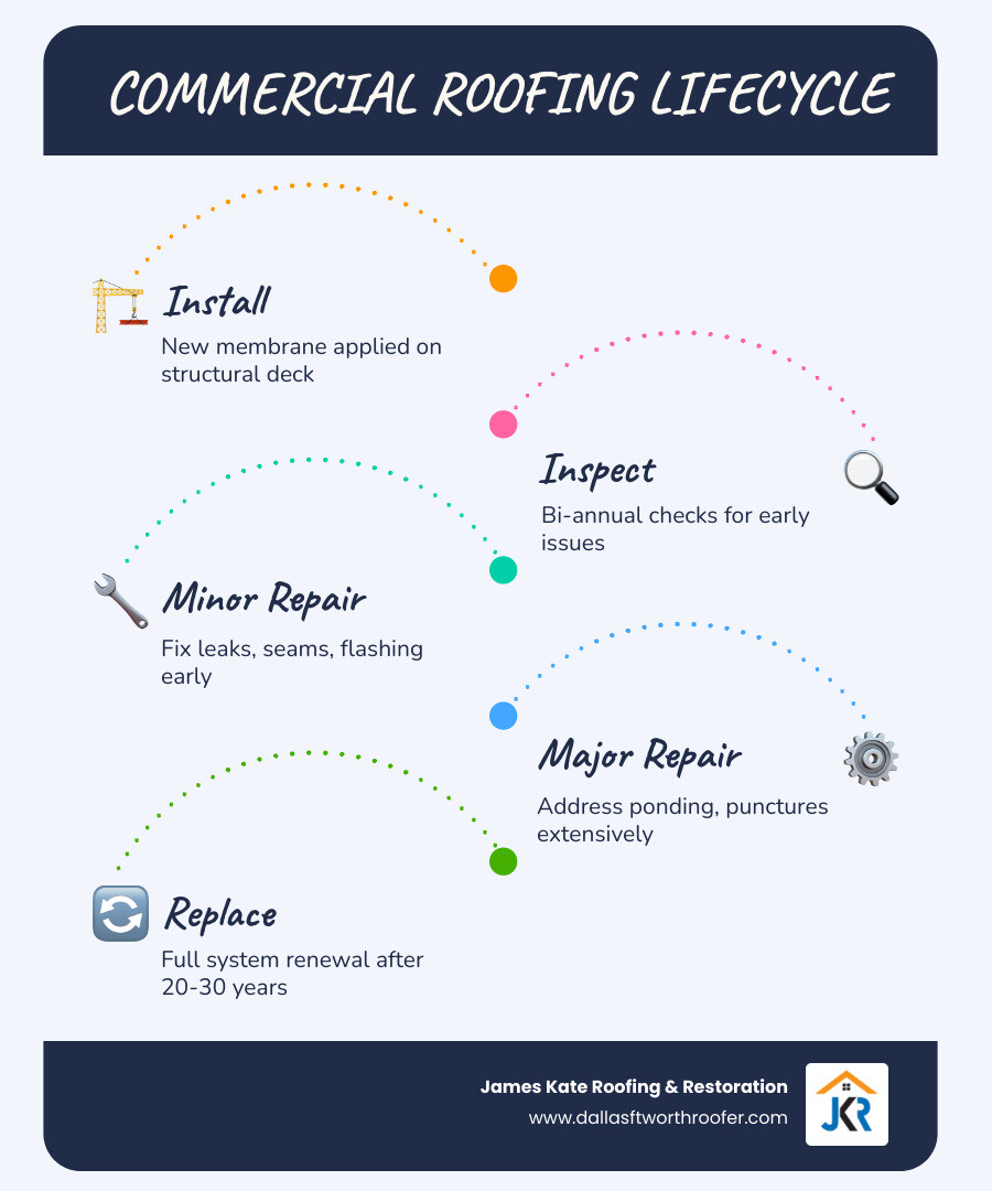 Infographic showing commercial roofing lifecycle: installation, regular inspections, minor repairs, major repairs Infographic showing commercial roofing lifecycle: installation, regular inspections, minor repairs, major repairs