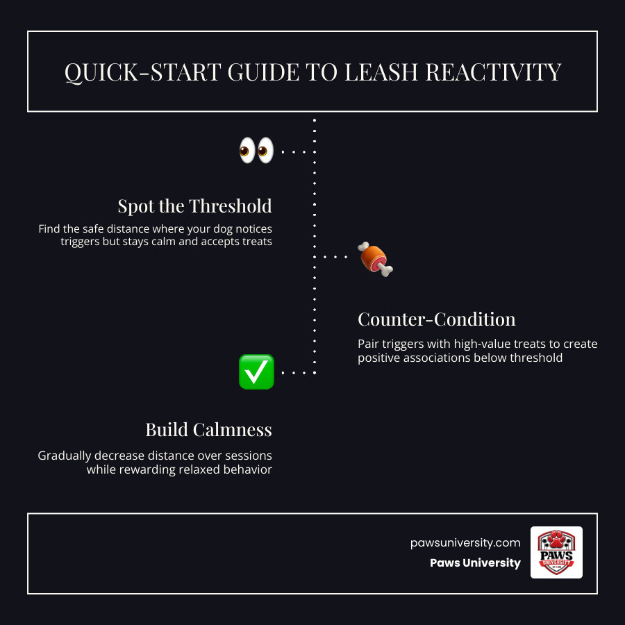 Infographic summarizing leash reactivity causes, signs, and quick-start training steps - leash reactivity in dogs Infographic summarizing leash reactivity causes, signs, and quick-start training steps - leash reactivity in dogs
