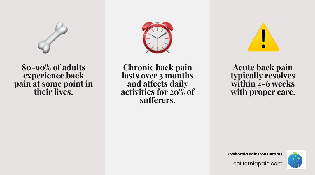 Types of back pain and spinal anatomy infographic for Miramar residents - back pain miramar infographic 3_facts_emoji_grey