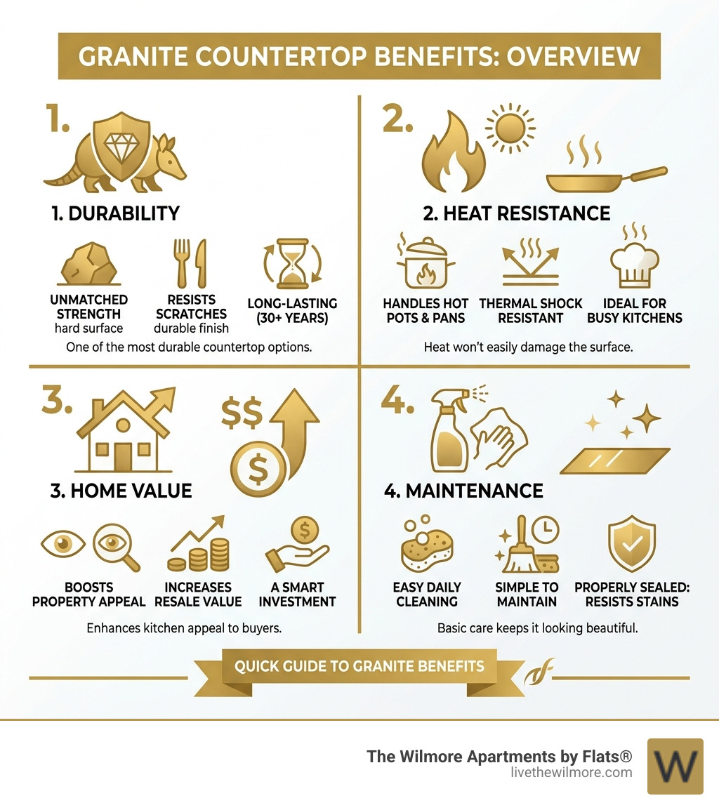 Granite countertop benefits overview infographic with durability, heat resistance, market appeal, and maintenance facts Granite countertop benefits overview infographic with durability, heat resistance, market appeal, and maintenance facts