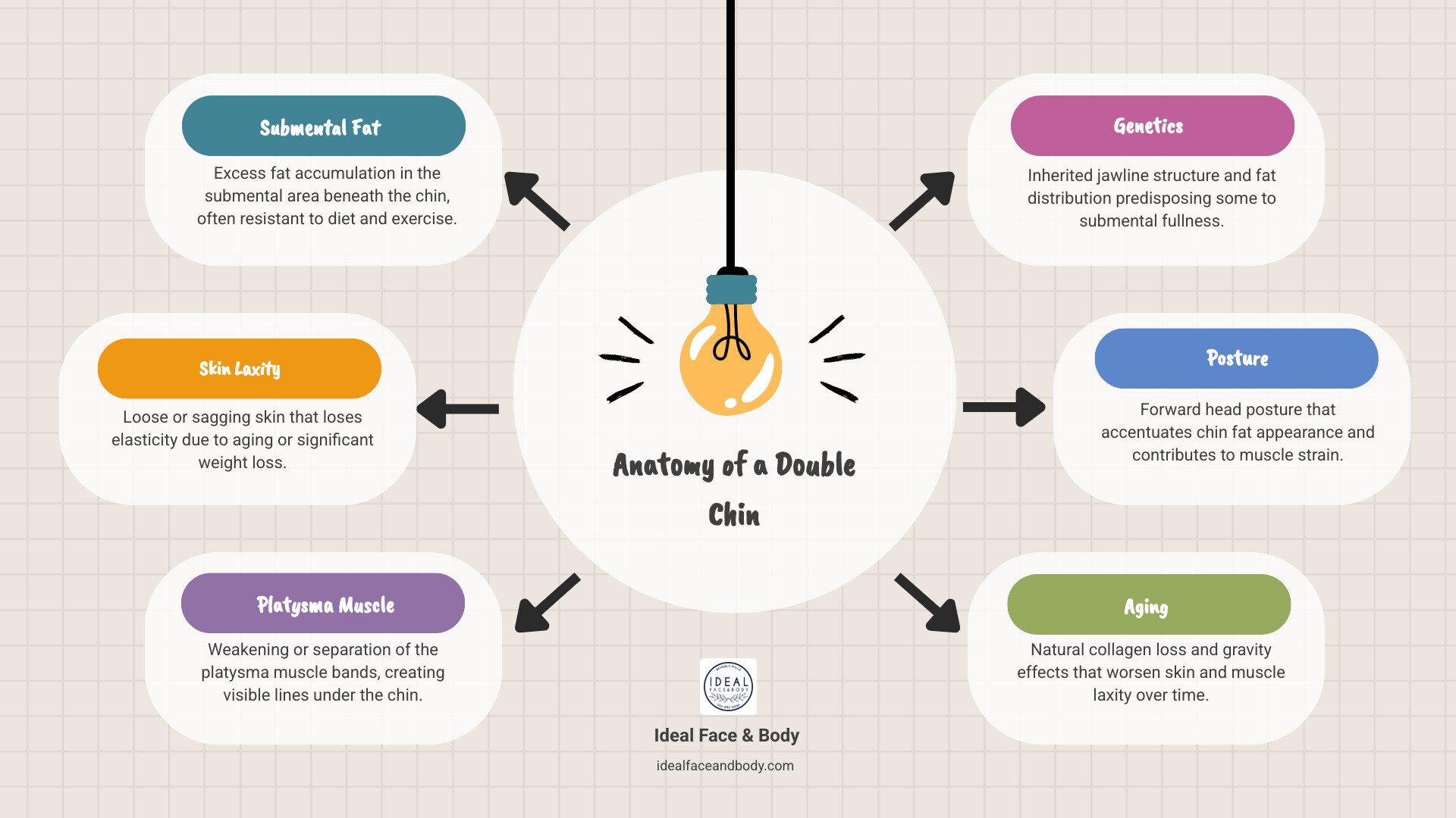 Anatomy of a double chin showing fat layer, skin laxity, and muscle structure - double chin treatment infographic Anatomy of a double chin showing fat layer, skin laxity, and muscle structure - double chin treatment infographic