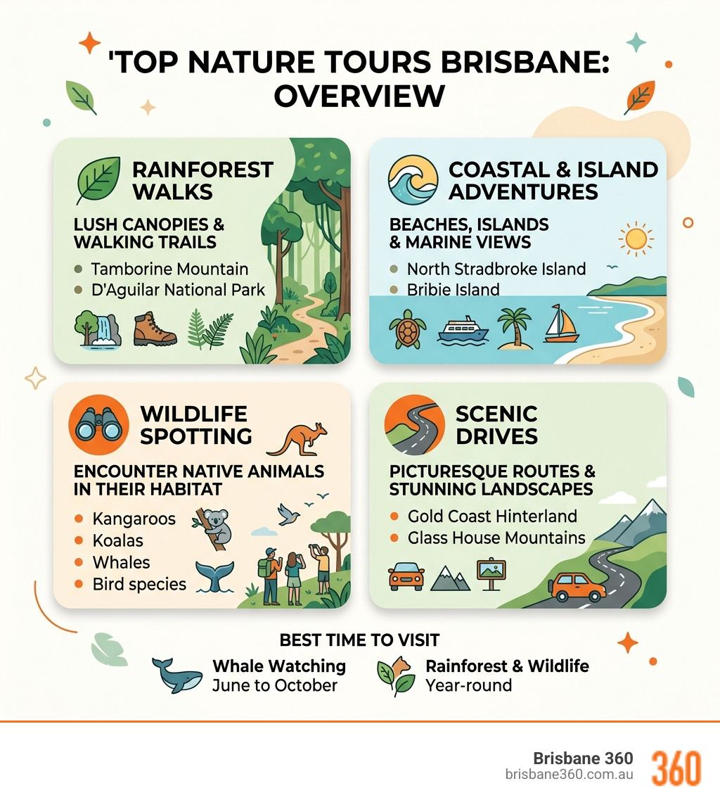 Top nature tours Brisbane groups rainforest coastal wildlife scenic drives overview infographic - Nature tours Brisbane Top nature tours Brisbane groups rainforest coastal wildlife scenic drives overview infographic - Nature tours Brisbane