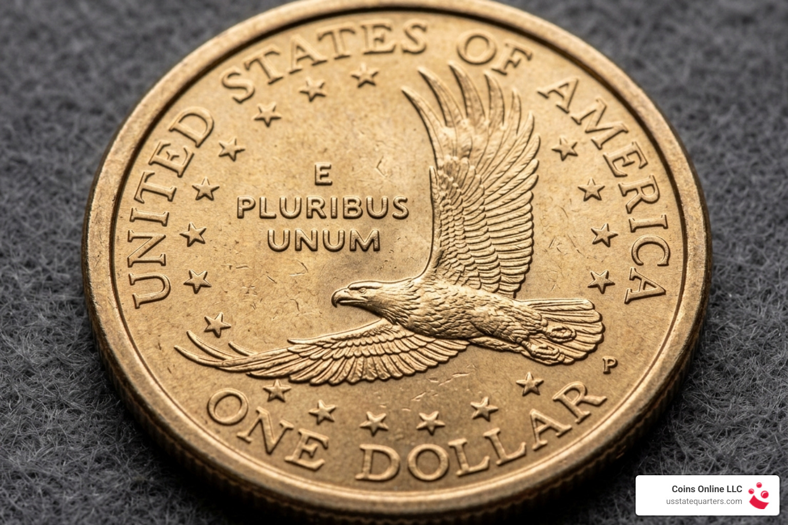 Detailed view of the 2000-P Cheerios Dollar reverse showing the high-relief enhanced tail feathers - valuable sacagawea