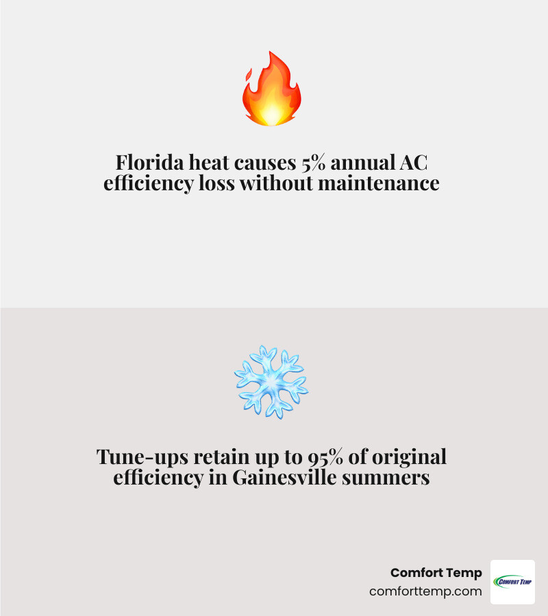 Infographic showing Florida heat impact on AC efficiency: 5% annual efficiency loss without maintenance, 95% efficiency Infographic showing Florida heat impact on AC efficiency: 5% annual efficiency loss without maintenance, 95% efficiency