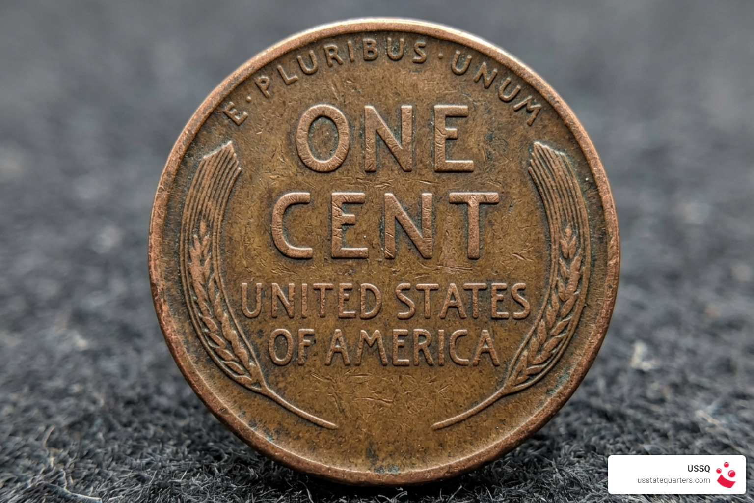 Reverse design of a Wheat Penny highlighting the two stalks of durum wheat and E Pluribus Unum - wheat penny