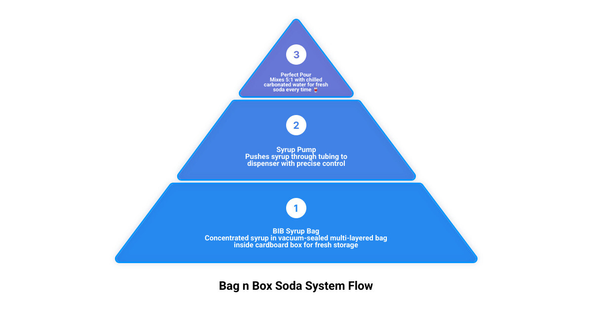 Infographic showing flow from BIB syrup bag through pump, carbonator, and dispenser valve to finished soda drink - bag n box