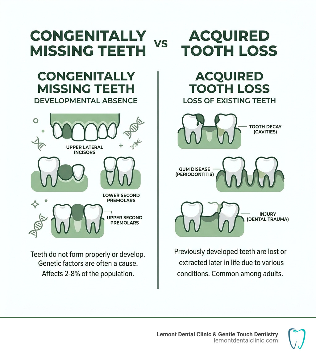 Infographic showing congenitally missing teeth vs acquired tooth loss with common examples of each - most common missing