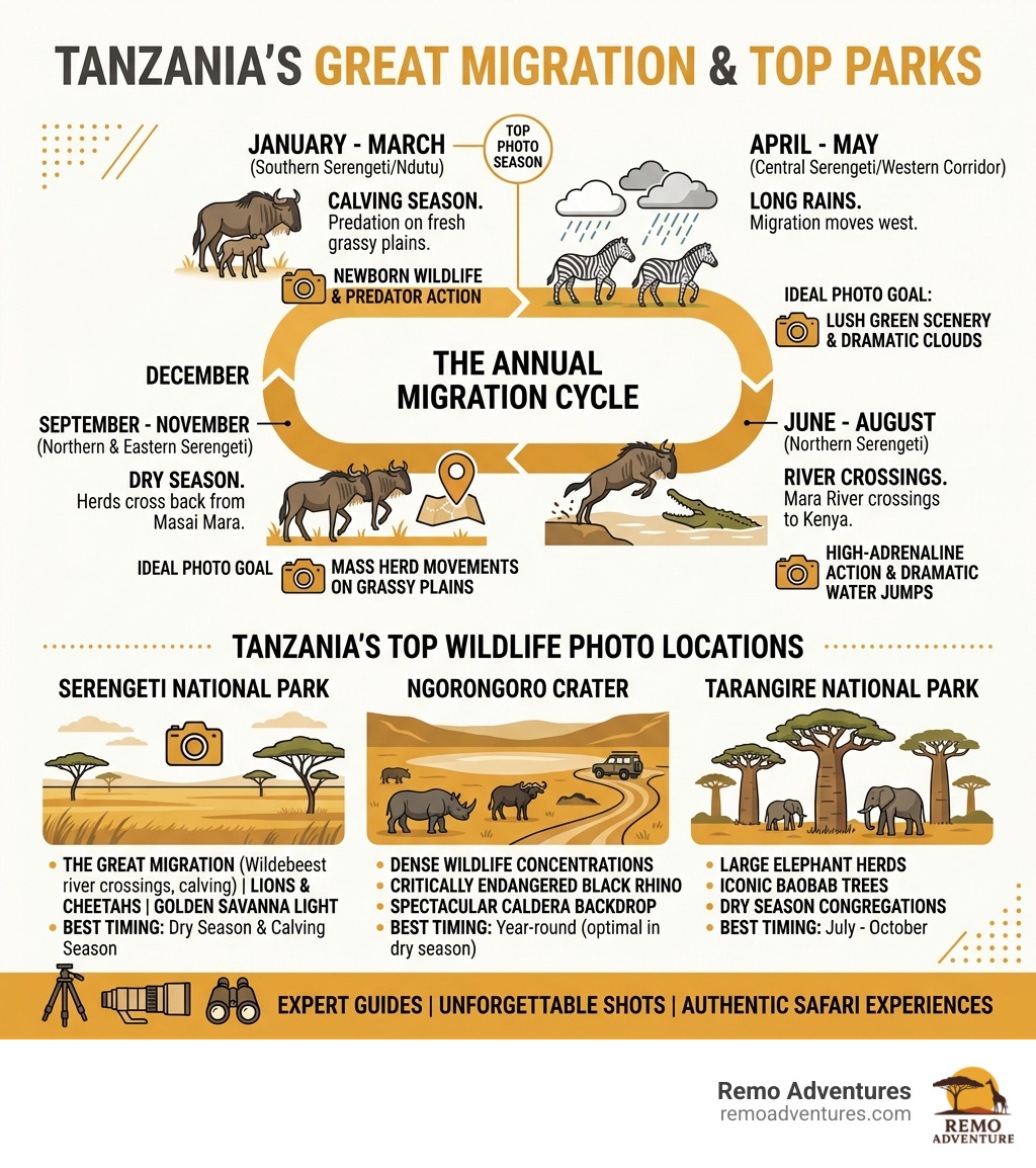 Infographic showing Tanzania's Great Migration annual cycle, best photo seasons, and top park locations - Wildlife
