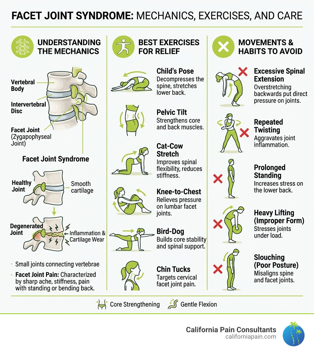 Infographic showing facet joint syndrome mechanics, best exercises, and movements to avoid - Facet joint exercises