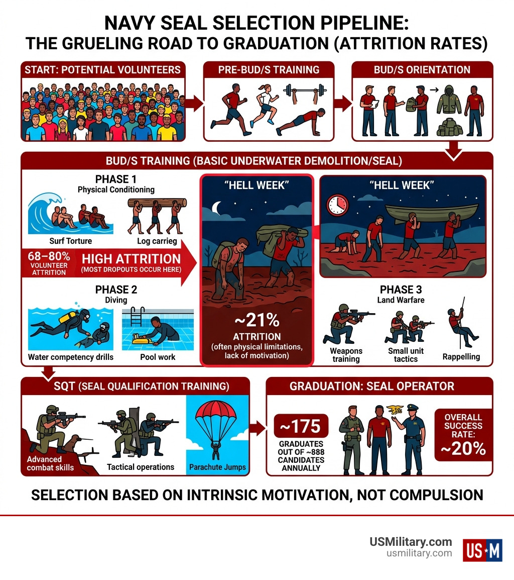Navy SEAL selection pipeline infographic showing attrition rates by phase - Could a Military Draft Provide More Navy SEAL