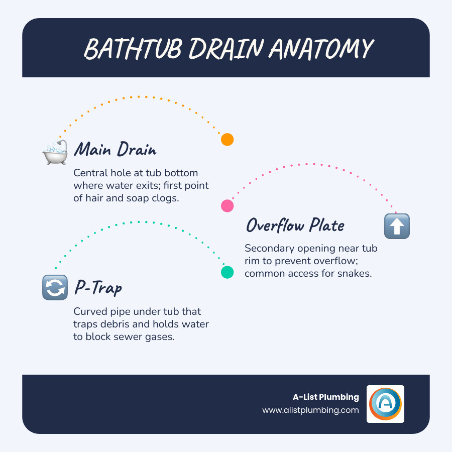Anatomy of a bathtub drainage system showing drain, overflow plate, P-trap, and pipe flow - unclog tub drain infographic