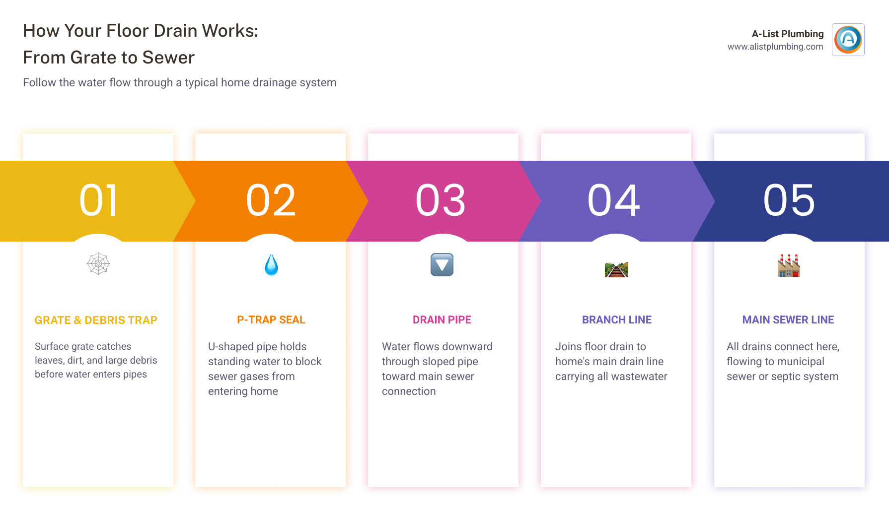 Step-by-step home drainage system flow from floor drain to main sewer line - unclog floor drain infographic pillar-5-steps Step-by-step home drainage system flow from floor drain to main sewer line - unclog floor drain infographic pillar-5-steps