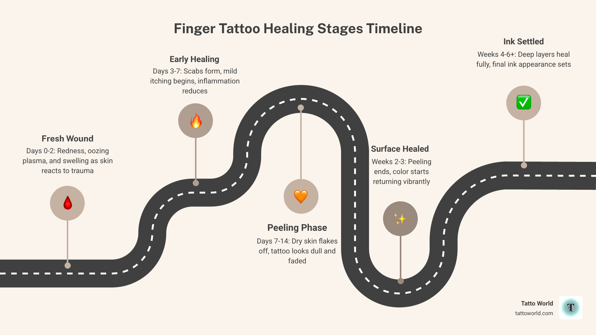 Infographic showing finger tattoo healing stages timeline from day 1 to week 6 - finger tattoo healing stages infographic