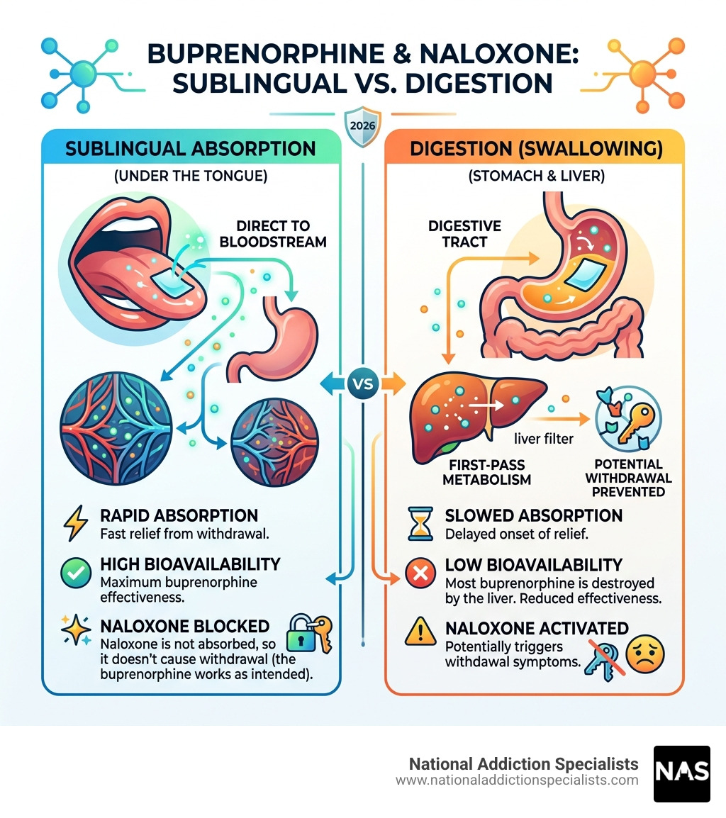 Infographic comparing sublingual absorption vs. digestion for buprenorphine and naloxone - buprenorphine and naloxone Infographic comparing sublingual absorption vs. digestion for buprenorphine and naloxone - buprenorphine and naloxone