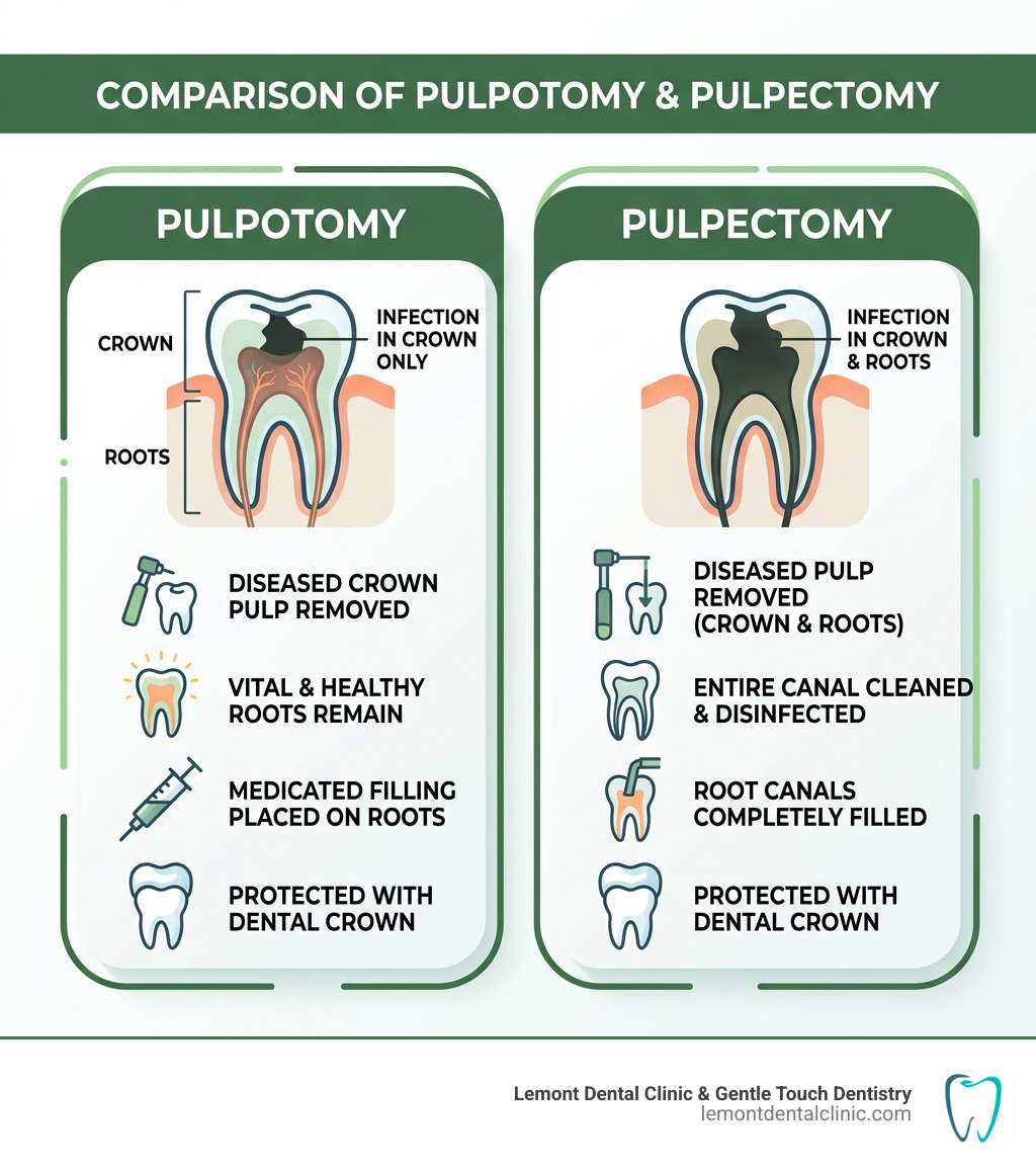 Comparison of Pulpotomy and Pulpectomy - child root canal therapy infographic Comparison of Pulpotomy and Pulpectomy - child root canal therapy infographic