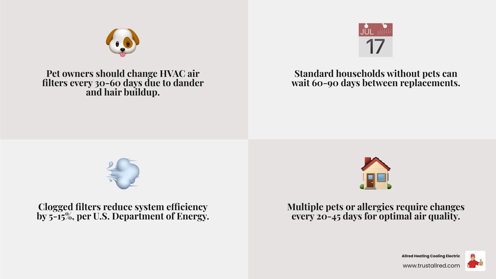 Infographic showing air filter replacement frequency by household type in a pet-friendly home - how often should you change Infographic showing air filter replacement frequency by household type in a pet-friendly home - how often should you change
