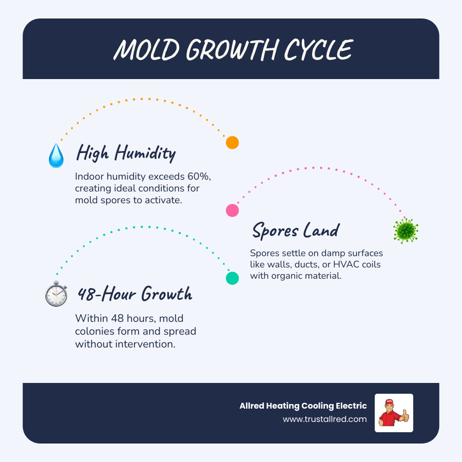 Infographic showing the mold growth cycle in a home: humidity above 60%, spores land on surface, 48-hour growth window Infographic showing the mold growth cycle in a home: humidity above 60%, spores land on surface, 48-hour growth window