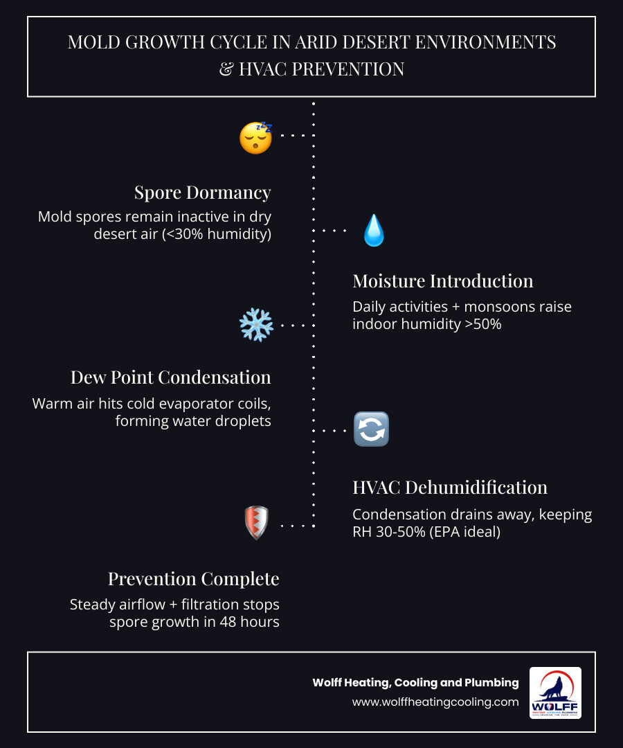 infographic showing mold growth cycle in arid desert environments and HVAC prevention steps - how your hvac system prevents infographic showing mold growth cycle in arid desert environments and HVAC prevention steps - how your hvac system prevents
