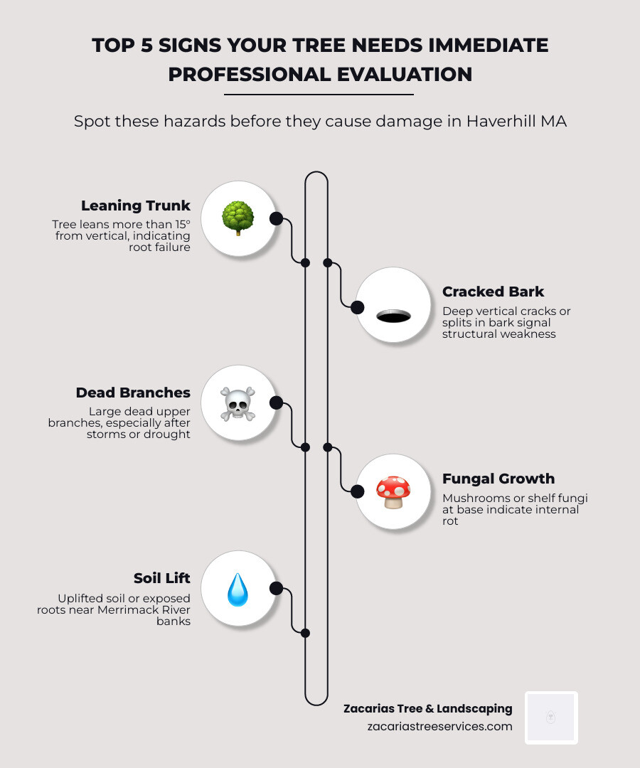 Top 5 signs a tree requires immediate professional evaluation infographic - tree removal Haverhill MA infographic