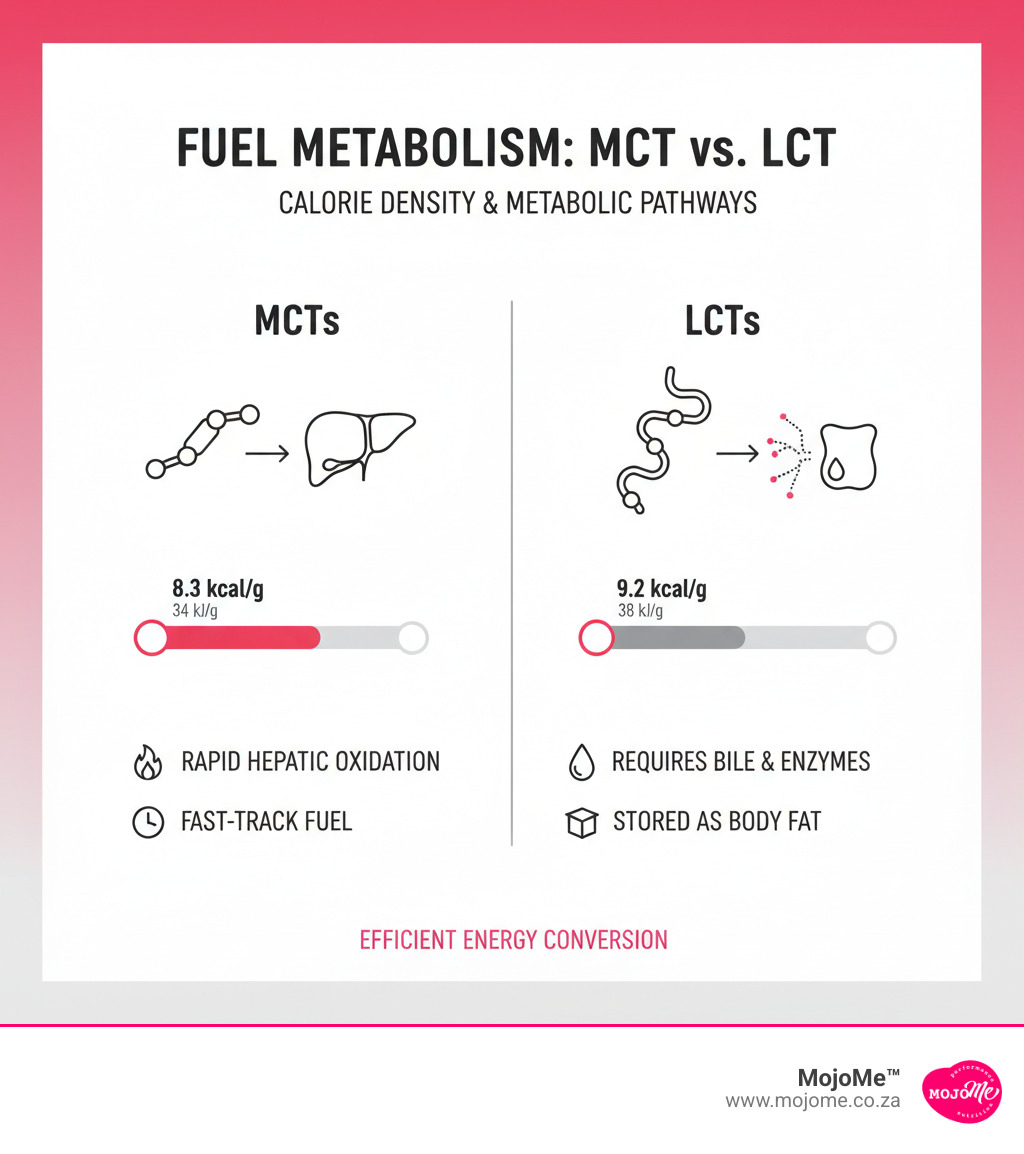 Comparison of Calorie Density and Metabolic Pathways - medium chain triglycerides for weight loss infographic Comparison of Calorie Density and Metabolic Pathways - medium chain triglycerides for weight loss infographic