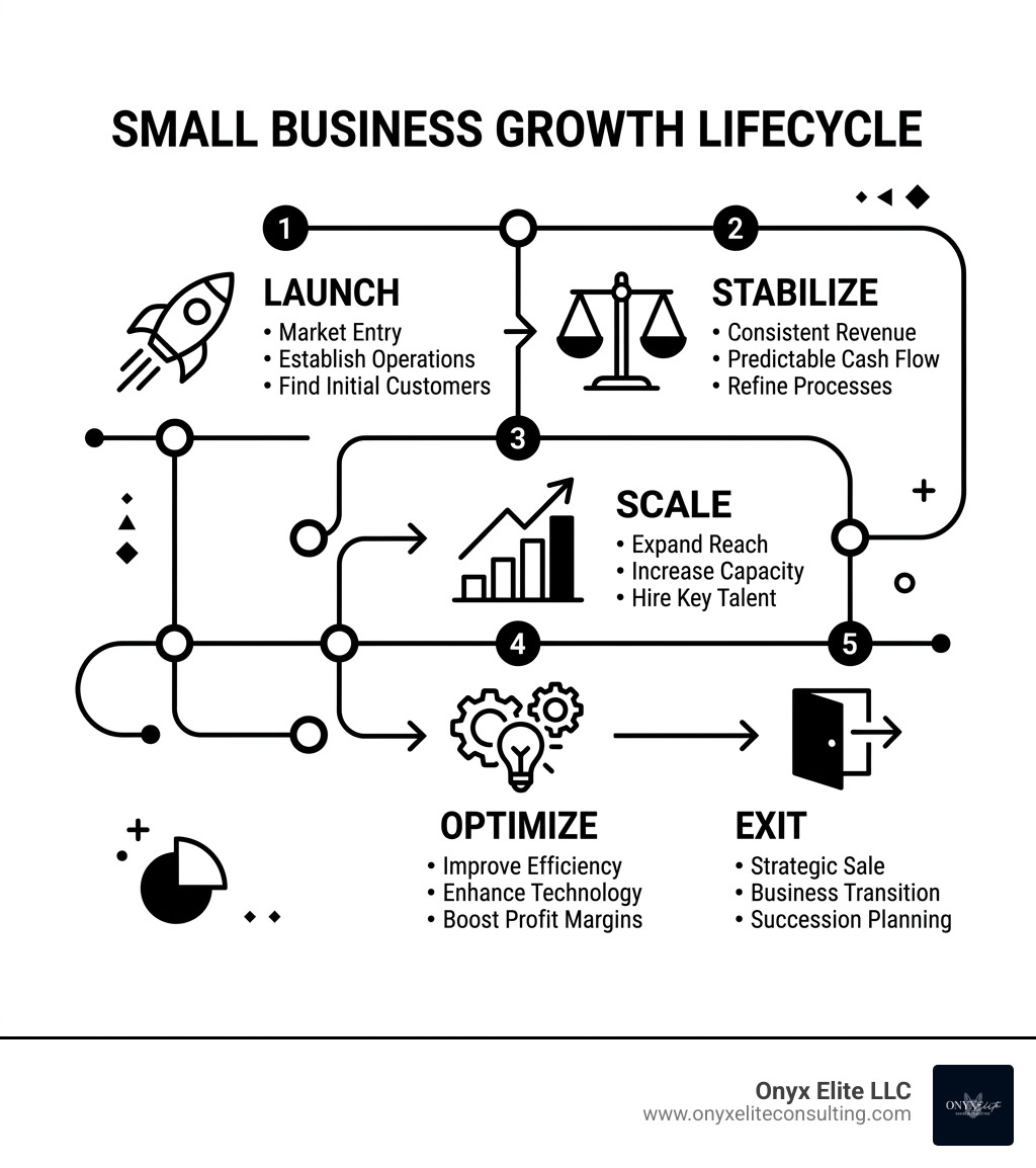 Small business growth lifecycle infographic: Launch, Stabilize, Scale, Optimize, Exit - consulting services for small Small business growth lifecycle infographic: Launch, Stabilize, Scale, Optimize, Exit - consulting services for small