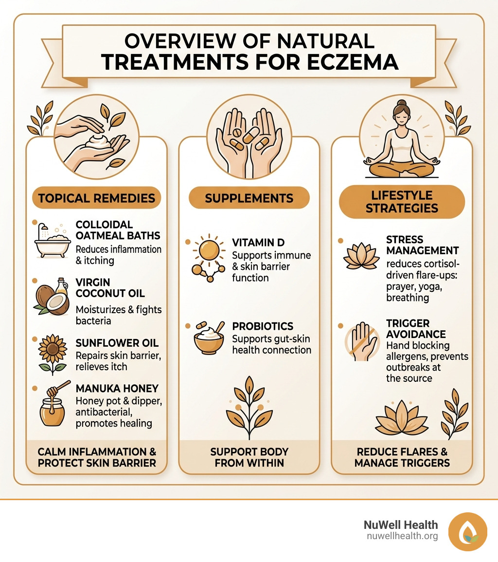 Overview infographic of natural treatments for eczema including topical remedies, supplements, and lifestyle strategies