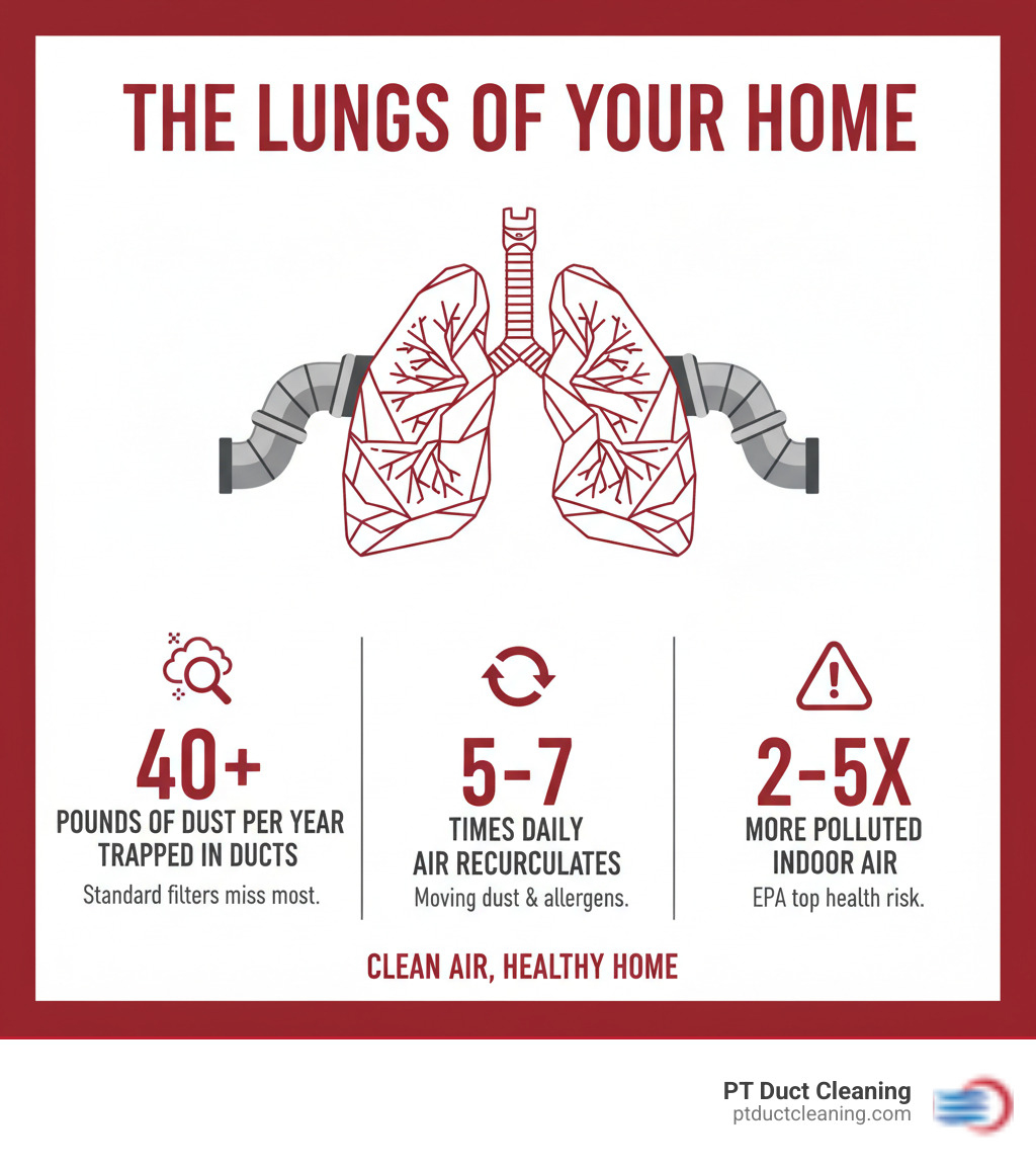 Infographic showing air ducts as the lungs of a home with stats on dust buildup, air recirculation frequency, and indoor air