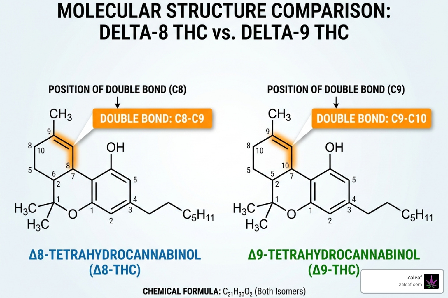 molecular structures of delta-8 and delta-9 THC showing the double bond position - delta-8 effects molecular structures of delta-8 and delta-9 THC showing the double bond position - delta-8 effects